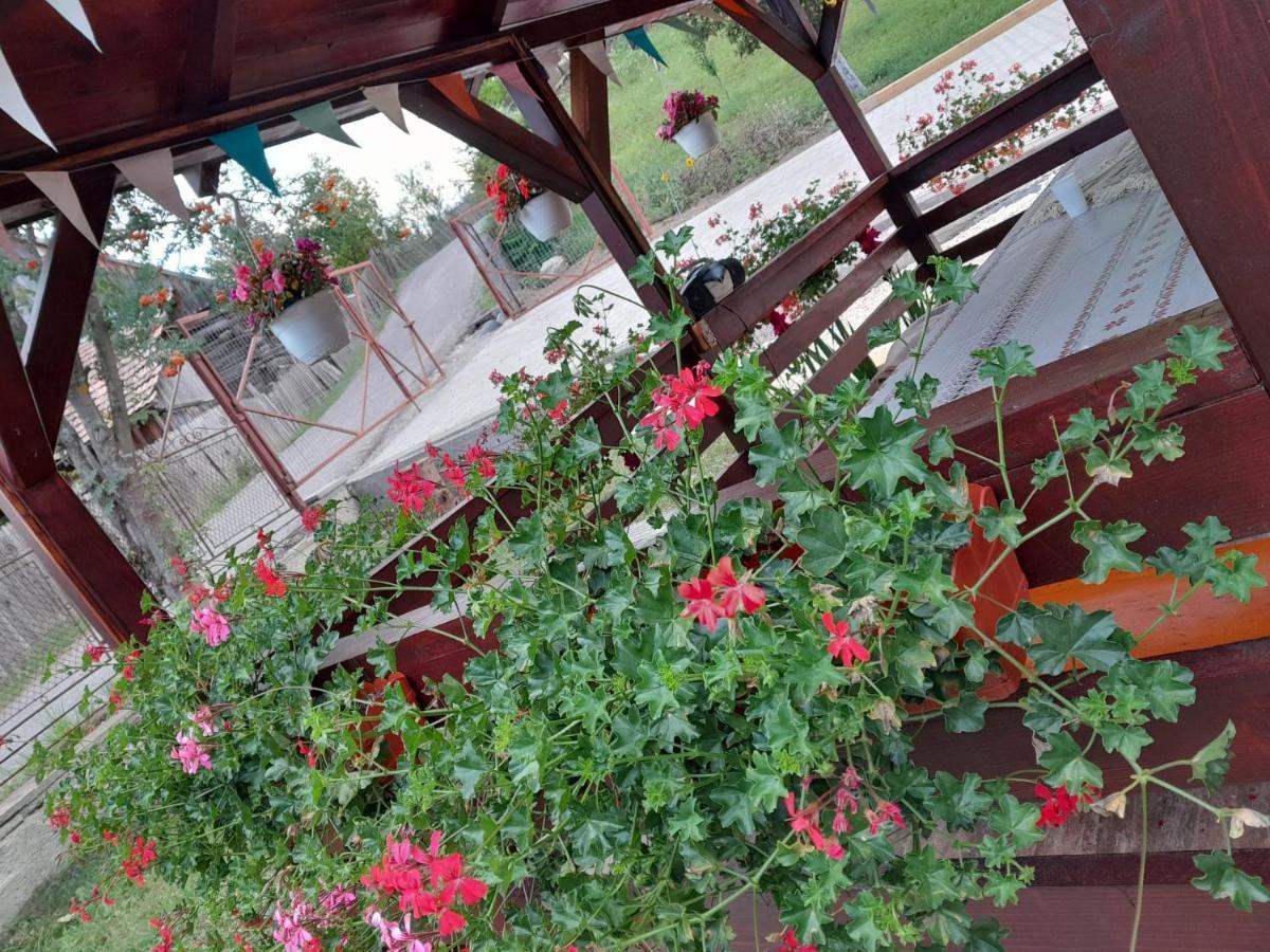 Casa Alex Hotel โตปลีซา ภายนอก รูปภาพ
